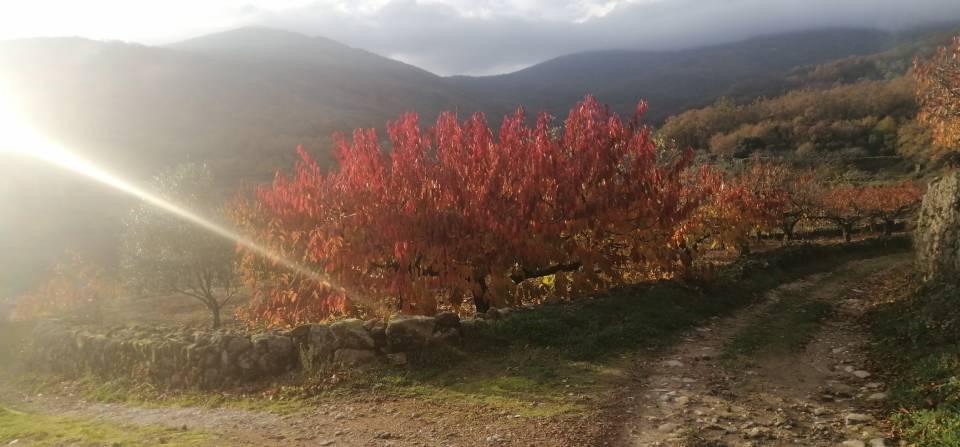 Valle del Ambroz
